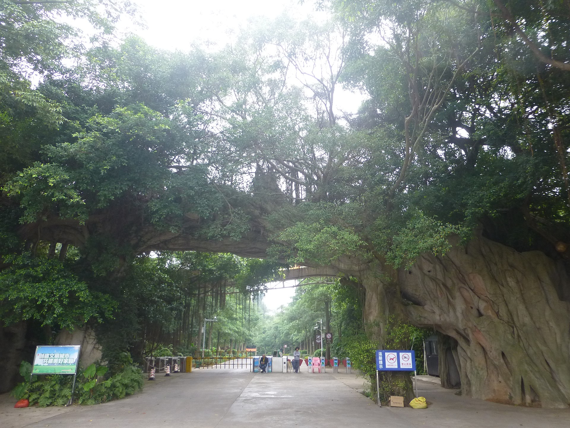 湖光岩公园内景观：林荫步道旁立着石雕，绿树繁密，远处可见建筑屋顶